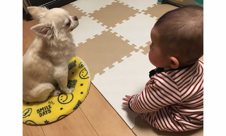 愛娘と愛犬