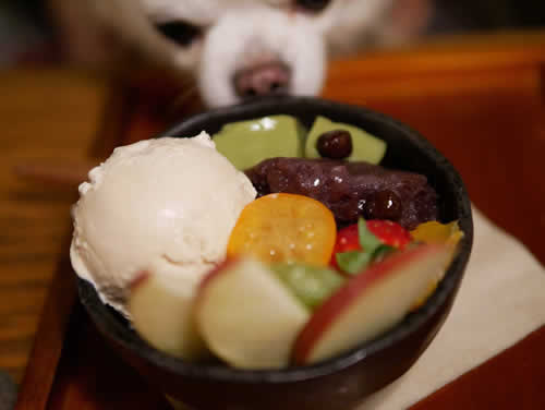 愛犬とお散歩