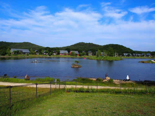 羽鳥湖ドッグラン・夜間診療・救急診療・時間外・動物病院