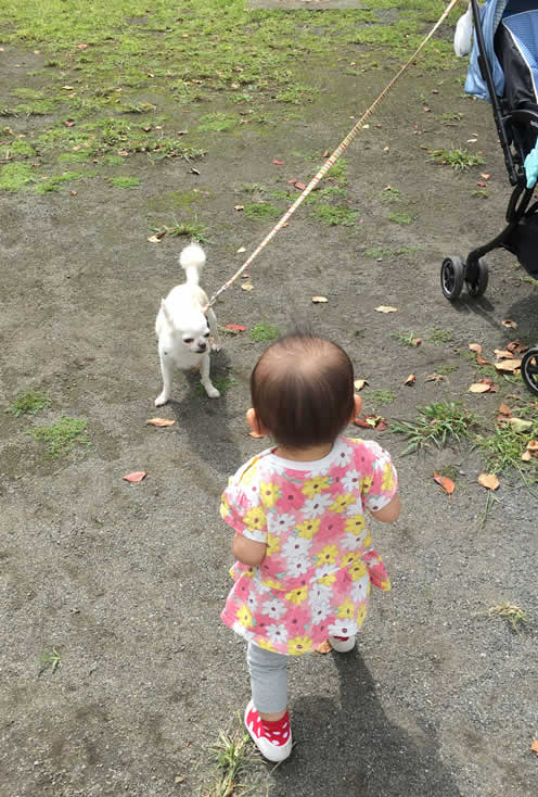 大人な愛犬・夜間診療・救急診療・時間外・動物病院