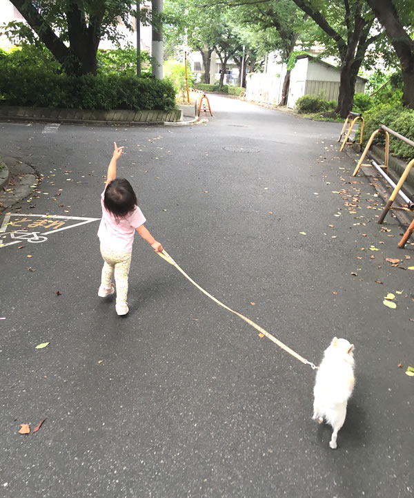 美と健康・夜間・救急・時間外・動物病院