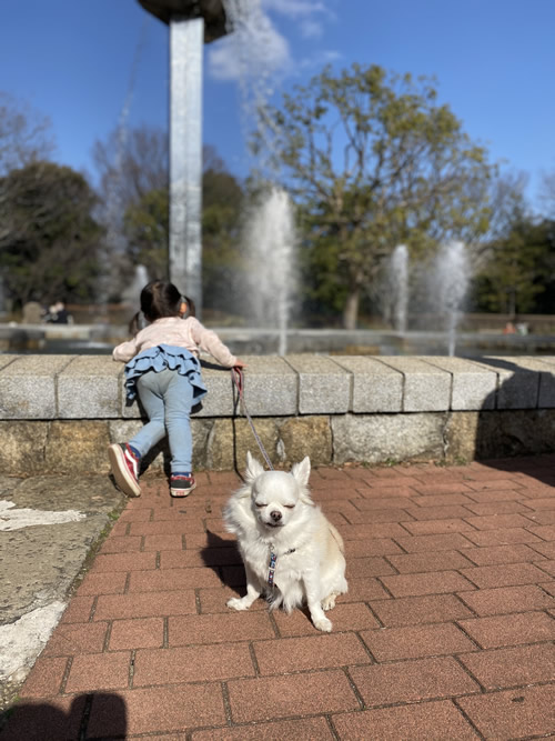 意地の張り合い・保護犬、夜間・救急・時間外・動物病院"