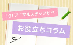 お役立ちコラム