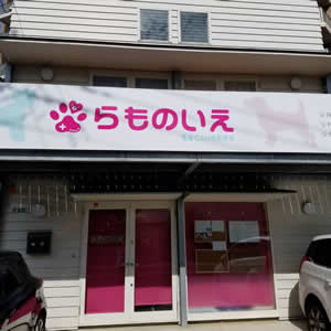 老犬ホーム、里親募集、らものいえ