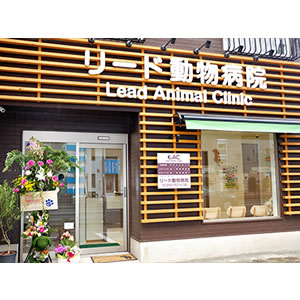 リード動物病院(福岡市早良区)