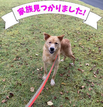 アトム君(オス去勢済)
