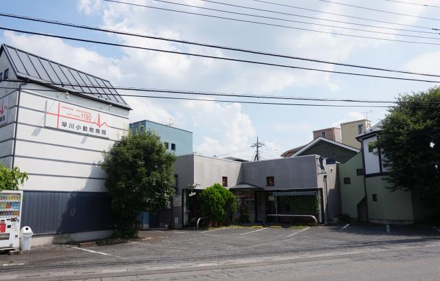 [助手] 早川小動物病院 ＜週3日〜OK／午後出勤・土曜勤務できる方歓迎＞　未経験者OK＆経験者優遇の動物病院でのお仕事！