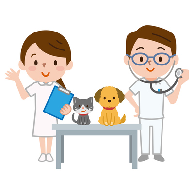 獣医師　増間　悠紀